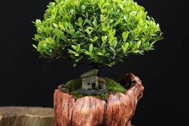 尿素又涨了!零售价直冲3000元,供需不平衡,会再次“失控”吗？百度知 ...