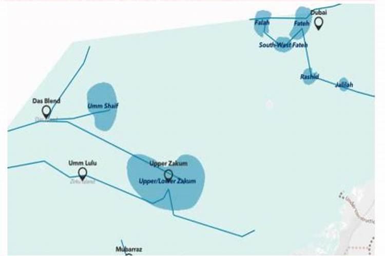 大量元素水溶肥包装上的TE是什么意思？