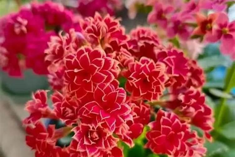 河北新宜化肥有限公司怎么样？