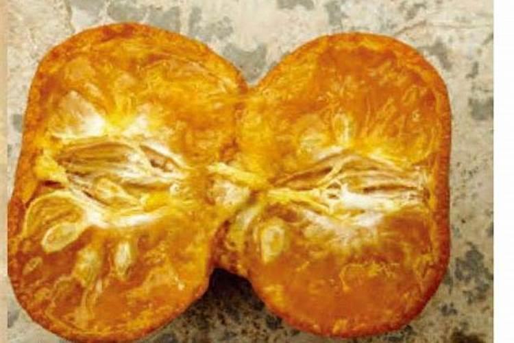 柑橘树该如何施肥？