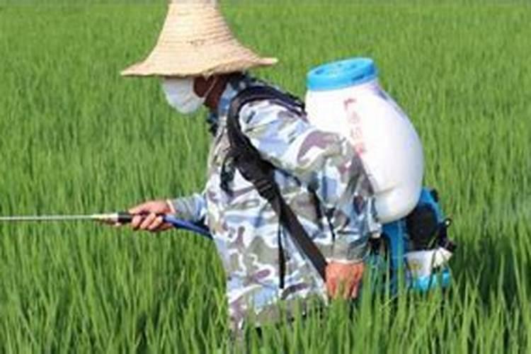 宁南霉素可和哪些农药混用