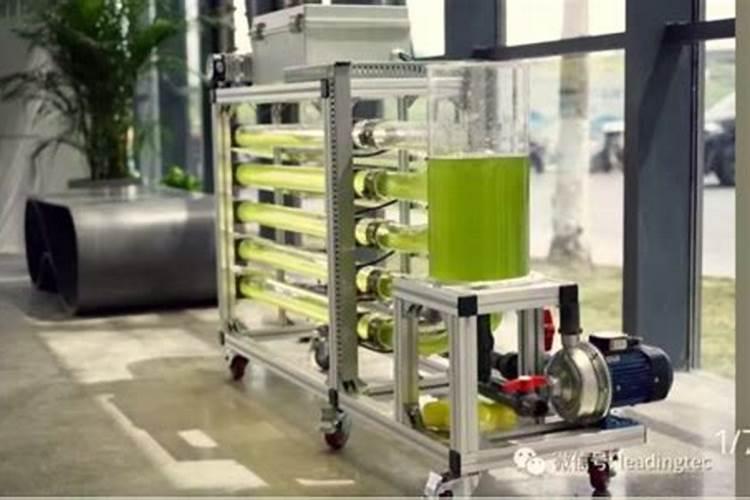 果树施硼肥怎么操作？果树施硼肥有什么用？