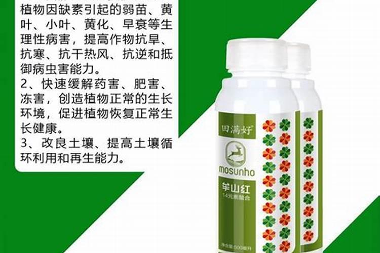 种马铃薯用什么肥料最好