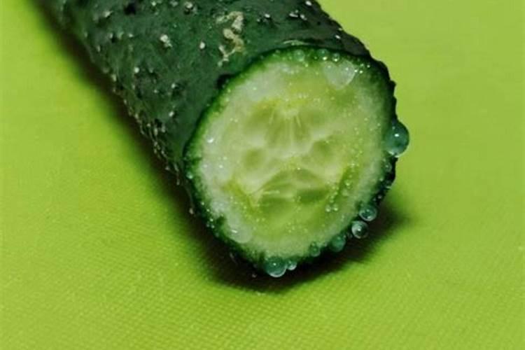 黄瓜增加表皮油亮度冲施复硝酚钠还是胺鲜酯那个好