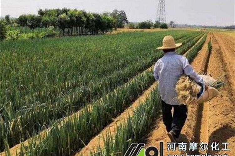 德安县家能荣有机肥有限公司怎么样？