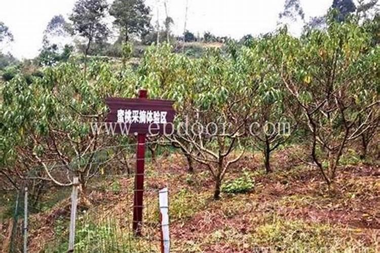 泸州市四维禽业有限公司生物有机肥分公司怎么样？