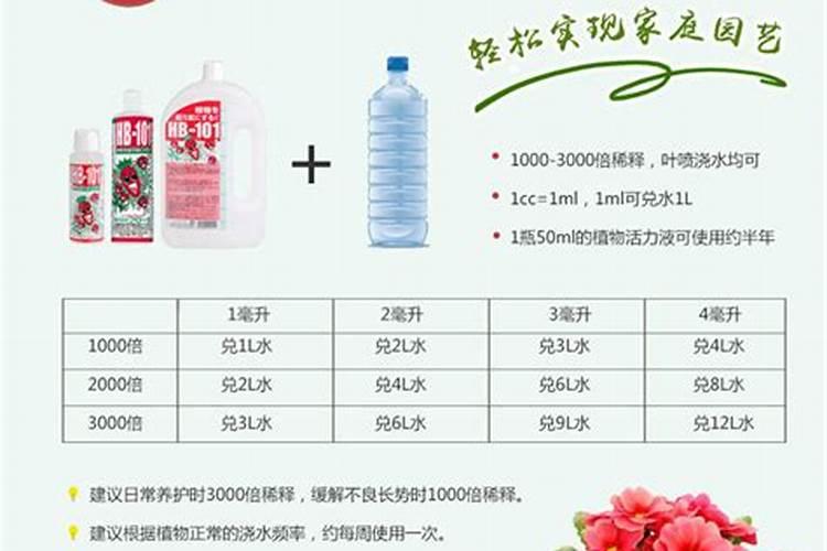 追什么肥能让月季花花瓣增厚？