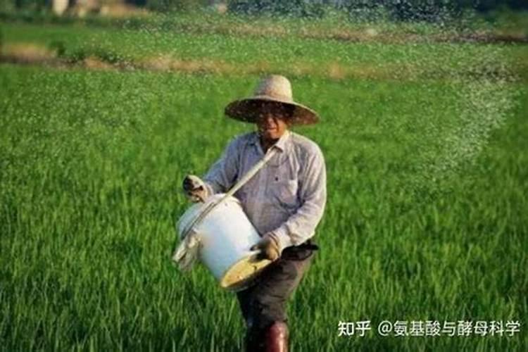 果树施肥离树干多远最好？