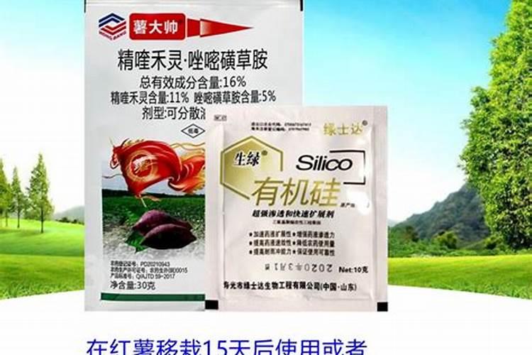 如何区别大量元素、中量元素、微量元素？