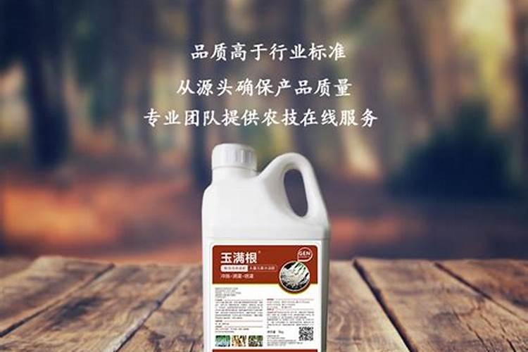 蔬菜作物氮素过多有哪些症状？怎样防治？