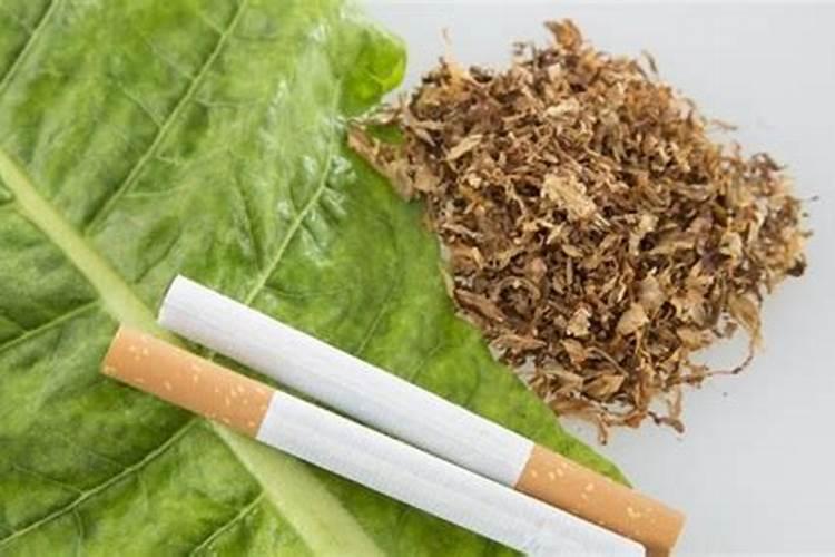 种烤烟用什么肥料好？