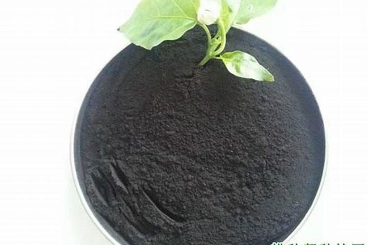 氮肥过多或不足对植物的影响