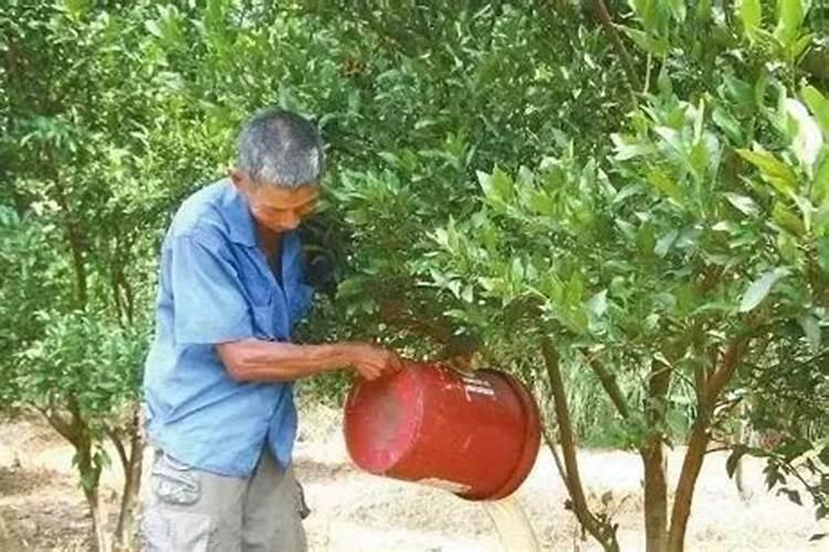 微量元素水溶肥多久用一次 微量元素水溶肥料的适用作物和使用方法