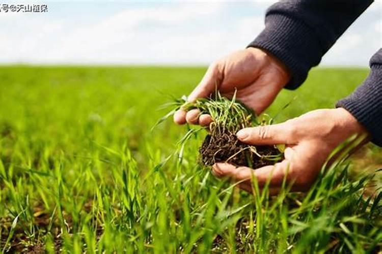 名酒产地安徽亳州地下水告急,有何缘故呢？