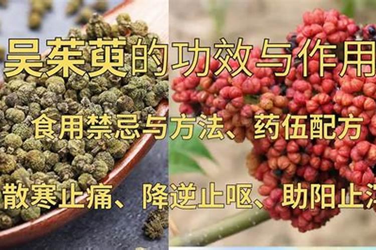 桃树刚挂果,适合浇水施肥吗