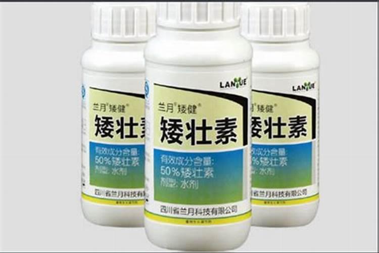 爱地魔力转圈圈是什么？效果真的那么神奇吗？