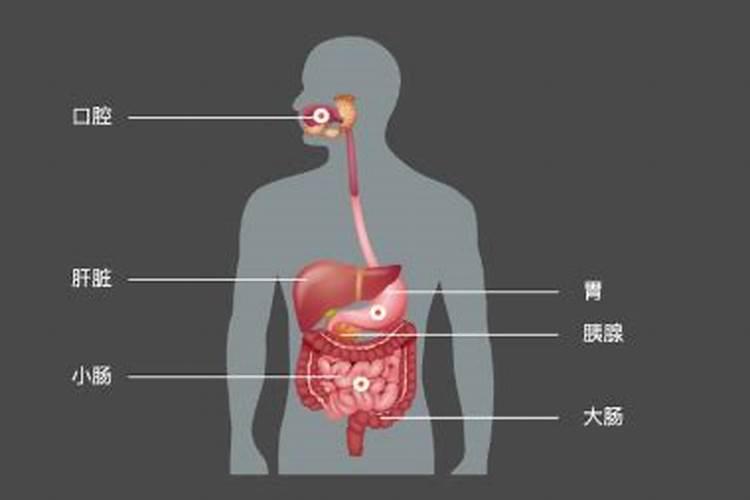 铜大师施用方法和防治对象