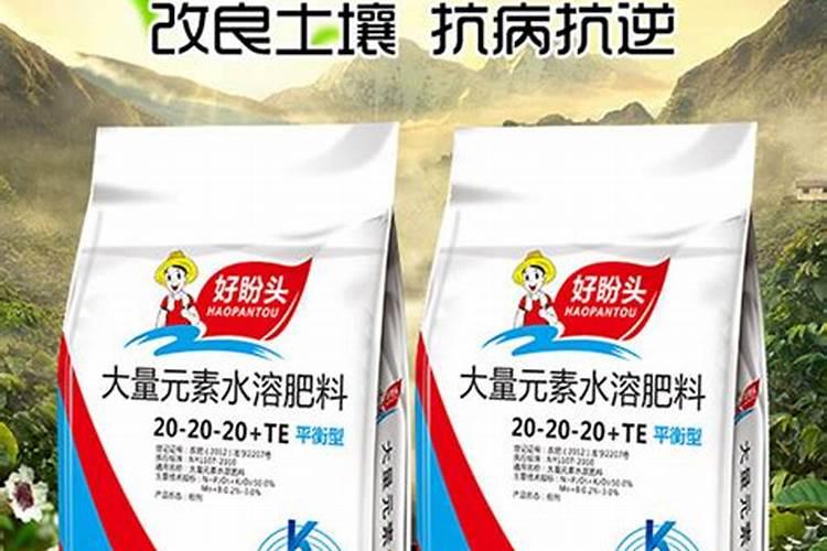 花施肥多了怎么办 花施肥多了如何补救