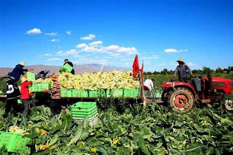 长沙哪里有生产高档铁艺护栏、铁艺大门、铁艺家具的厂家？我想代理他们...