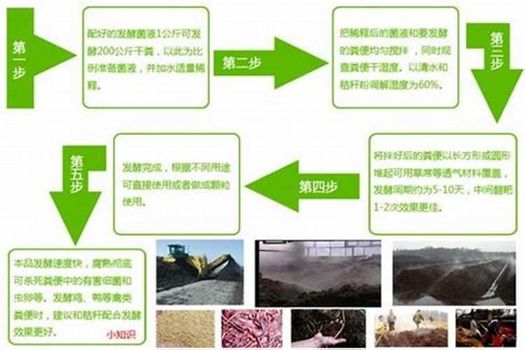 厨余垃圾怎么发酵成有机肥料