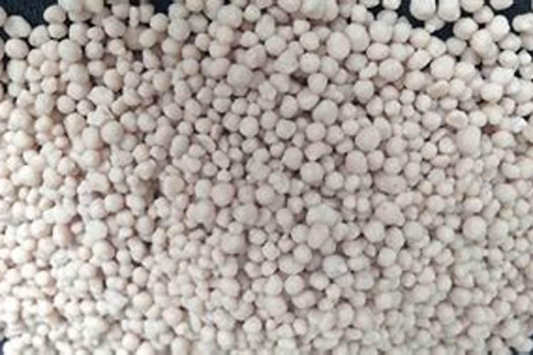 茄子小苗冻害能缓过来吗？