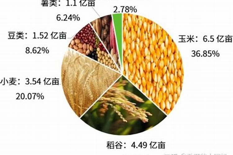 饶平县井洲特产有哪些