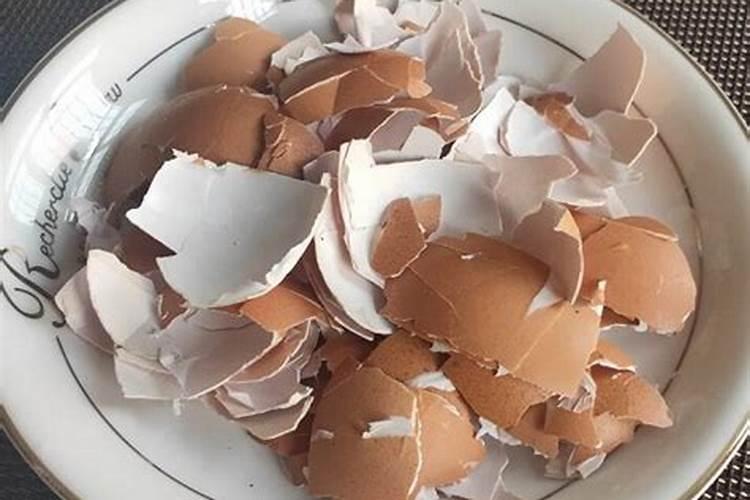 荔枝果树烂根朽病用什么药？