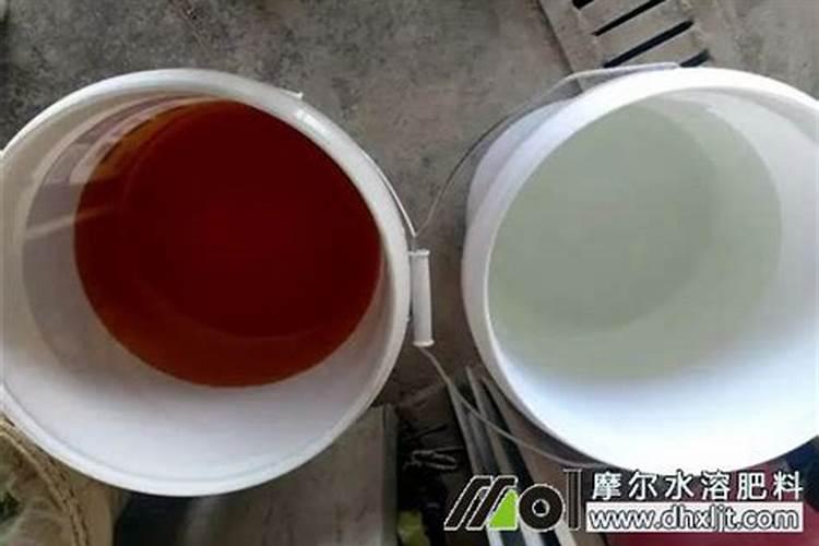 鱼蛋白肥料厂家前十名