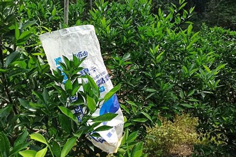 硫酸钾在果树上怎样使用