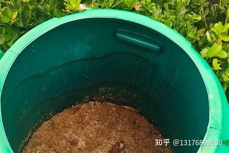 厨余垃圾发酵多久可以用