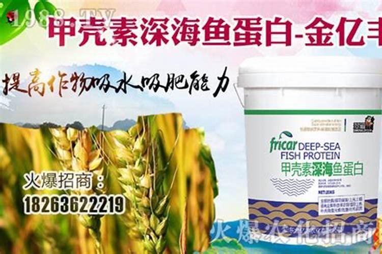 酵素水应该怎么喝