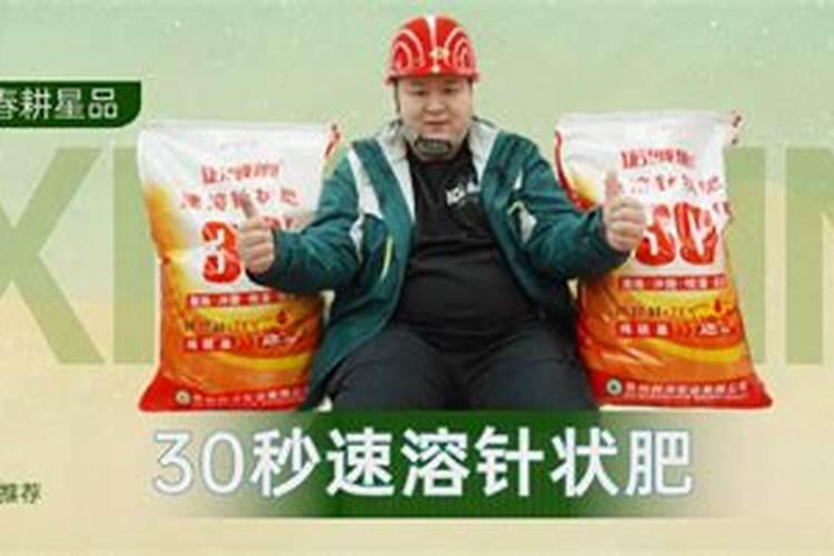 多肉植物复合肥怎么使用