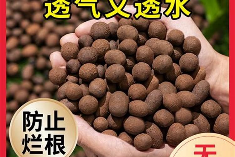 水培植物怎么去施肥和选择肥料