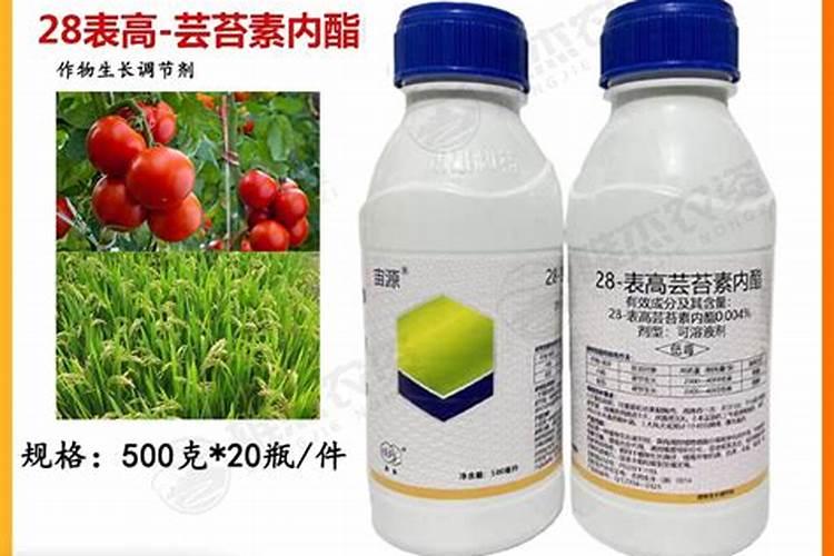 芸苔素内酯哪家好？主要作用是什么？