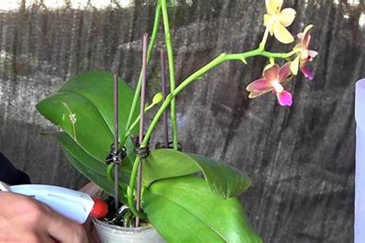 广西做生物发酵合成的厂家