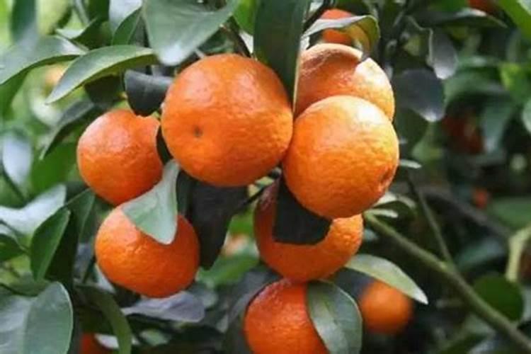 平价又好用的儿童面霜你知道吗？