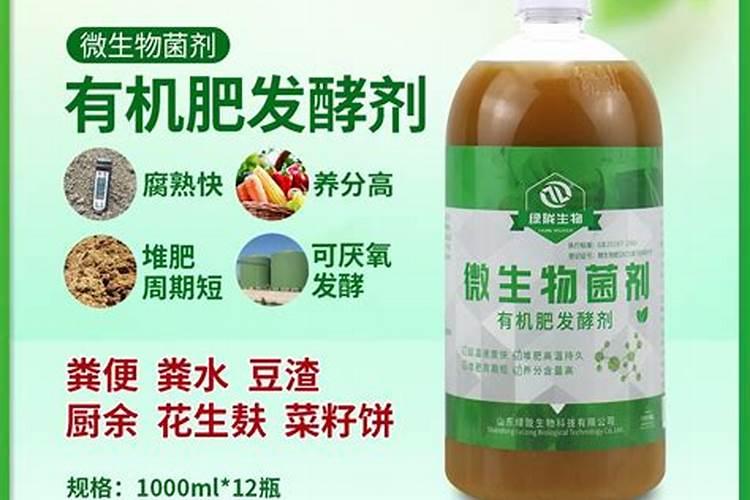 当归用什么叶面肥效果好