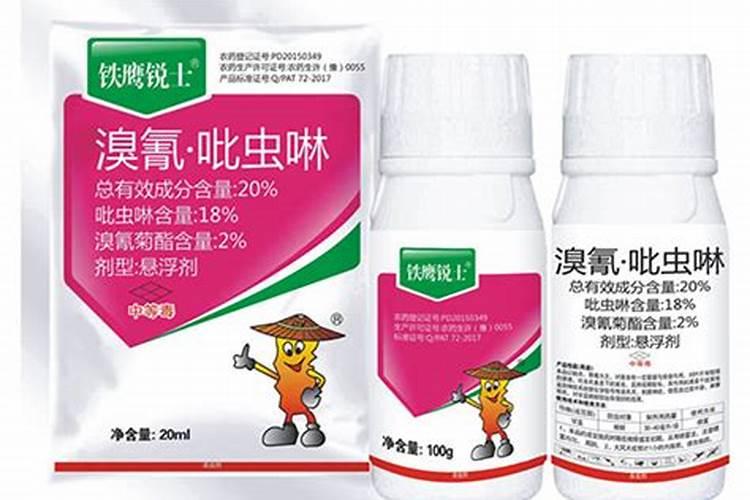 高产蜂糖李子苗,李子树什么季节施基肥,比蜂糖李好吃的李子品种百度知 ...