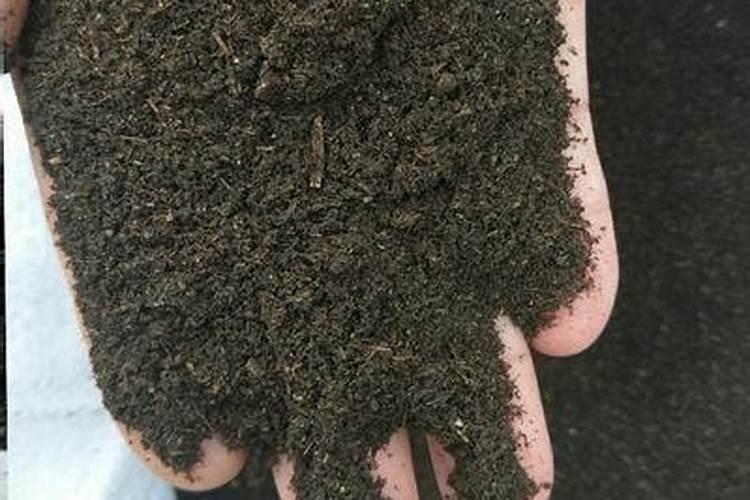 大蒜膨大期用什么肥料
