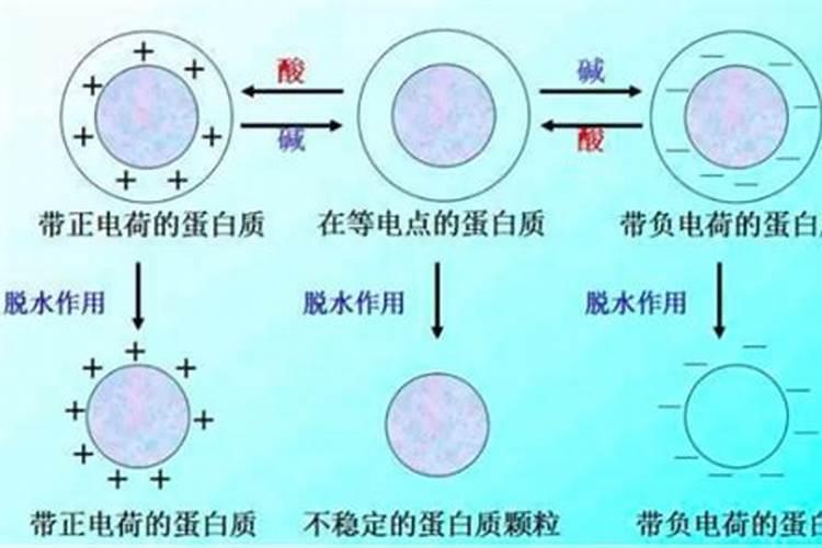 玉米在缺硼的状况下,会产生什么样的病症？