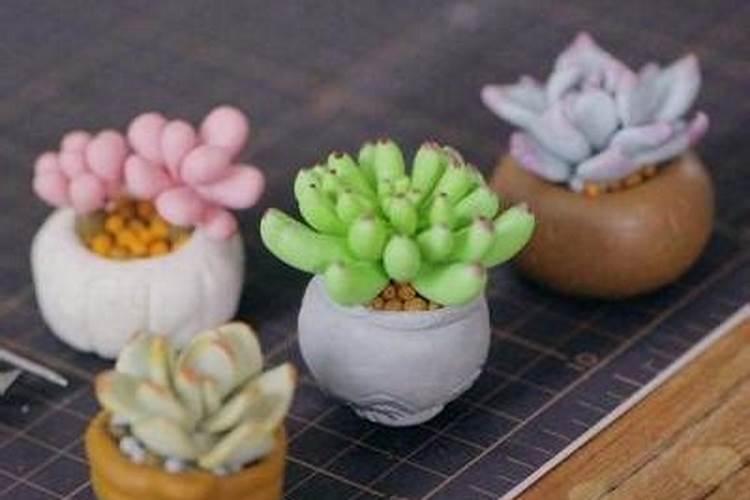 玉米打什么叶面肥最好