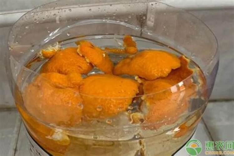 橘子皮水浇花的正确方法