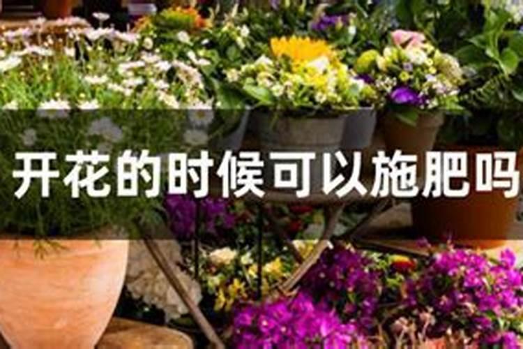 西瓜开花结果期怎么施肥和管理