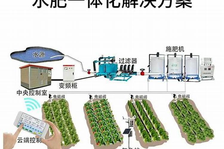 磷酸二氢钾适合哪些花 有哪些作用及好处