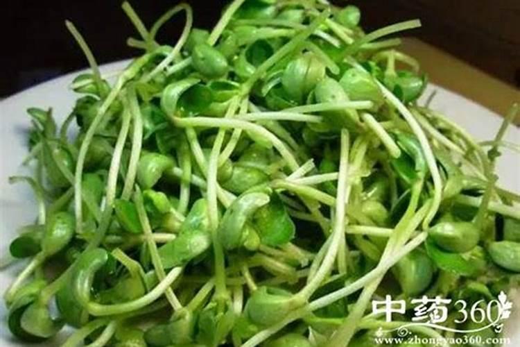 红薯的高产栽培技术