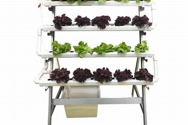 种菜用什么肥料最好