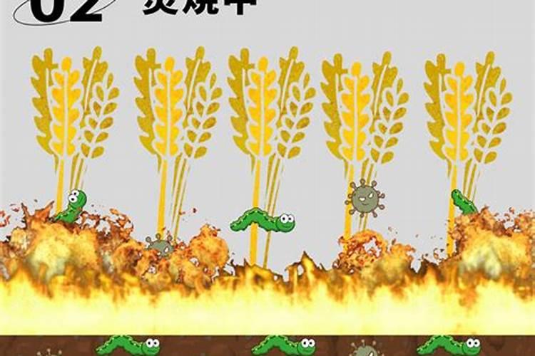 农民为什么烧秸秆