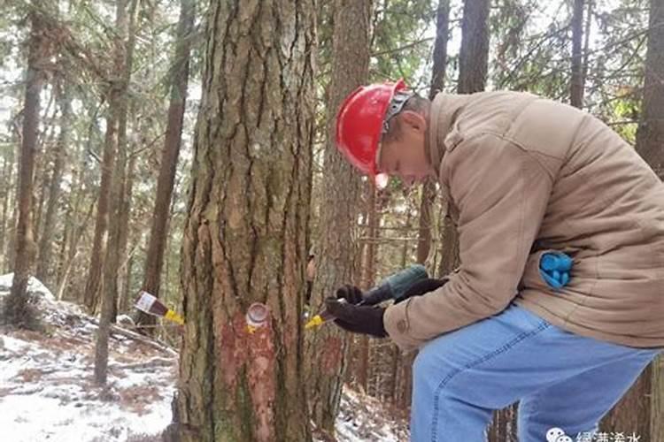 磷肥是指哪些肥料