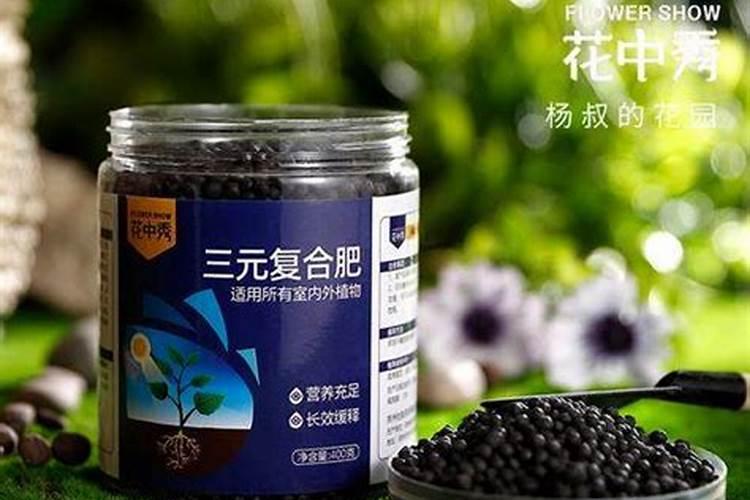 康巴克到底靠不靠谱