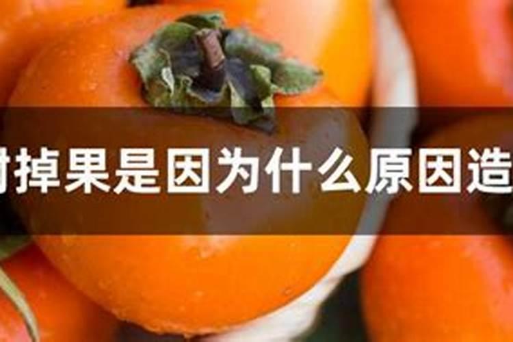 蕃茄空洞果的形成原因是什么？有什么防治措施呢？